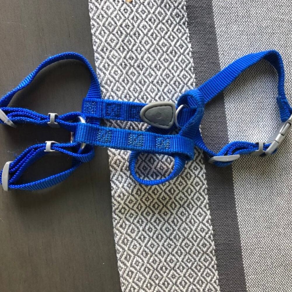 Dog harness